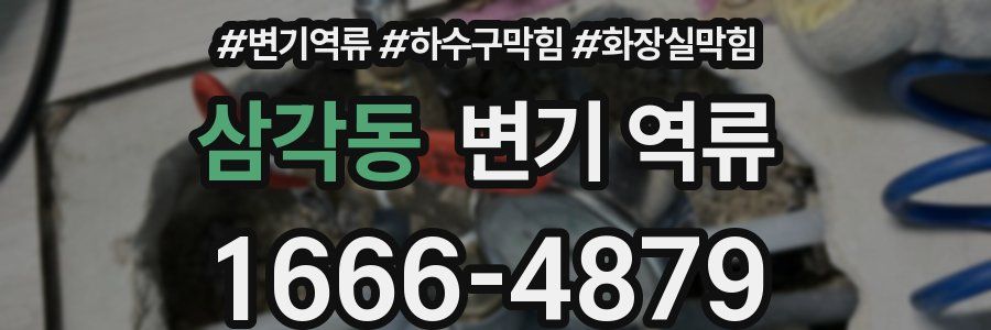 삼각동 변기 역류