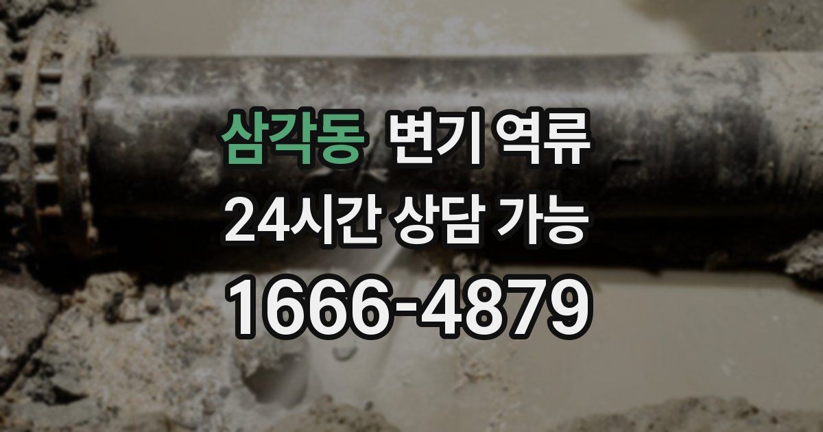 삼각동 변기 역류