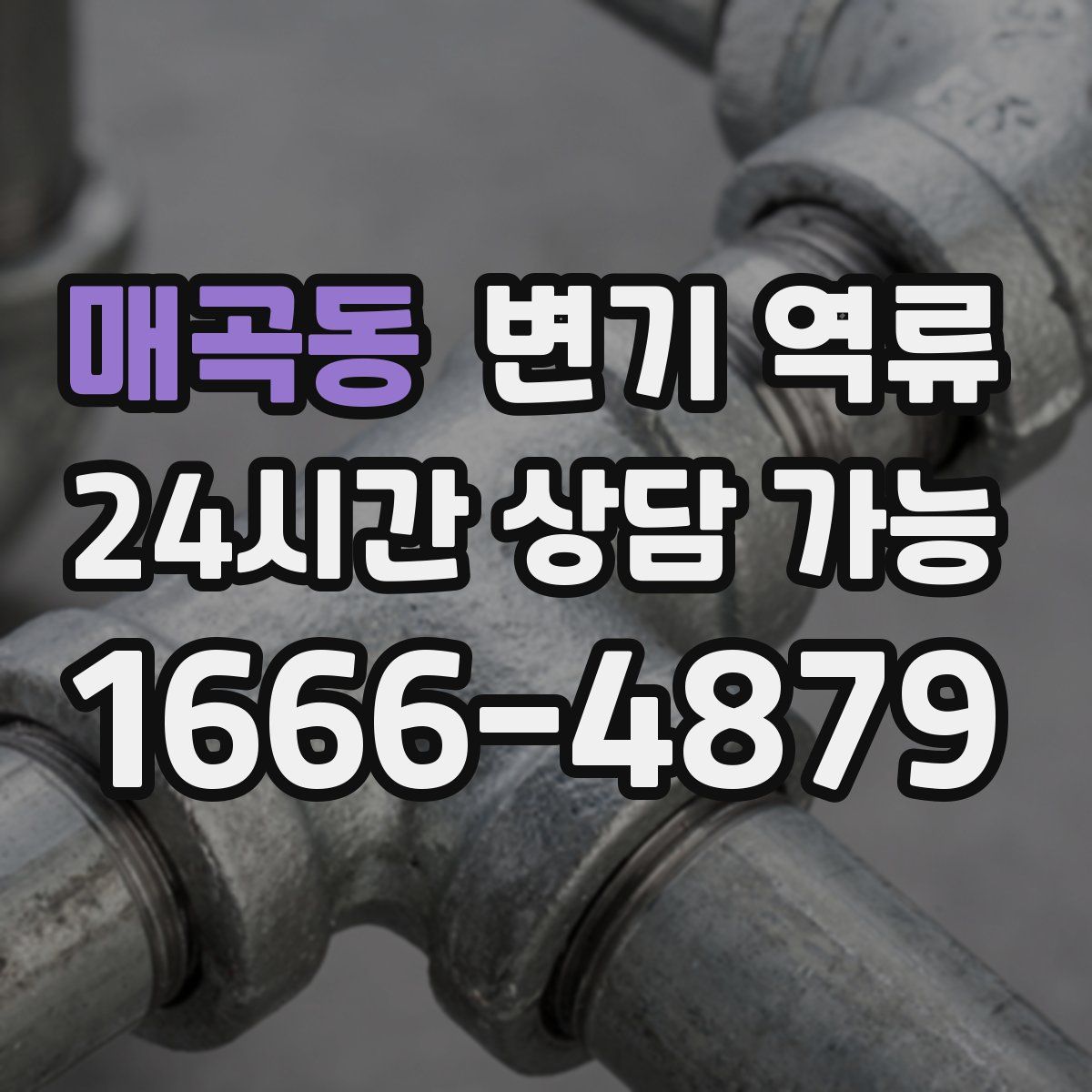 매곡동 변기 역류