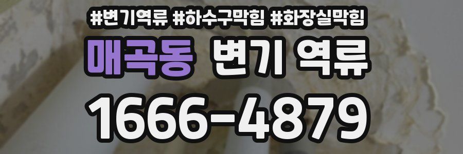 매곡동 변기 역류