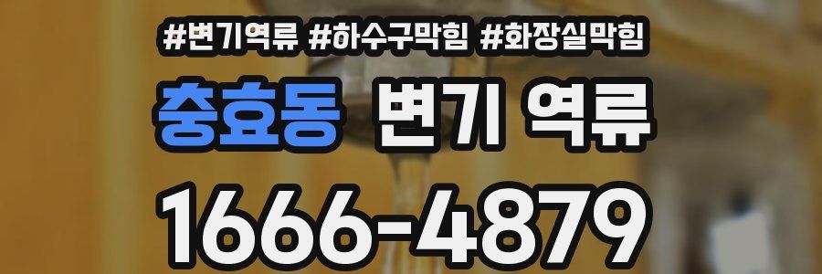 충효동 변기 역류