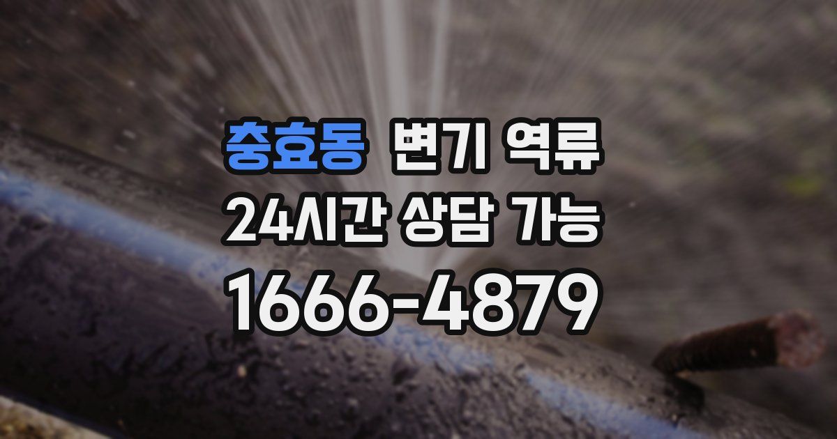 충효동 변기 역류