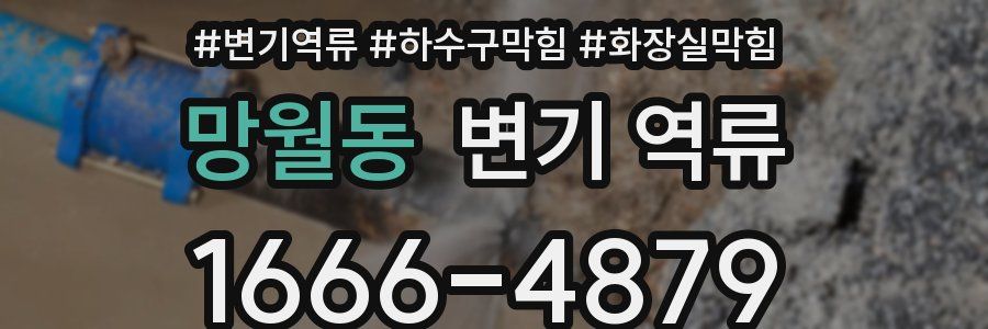 망월동 변기 역류