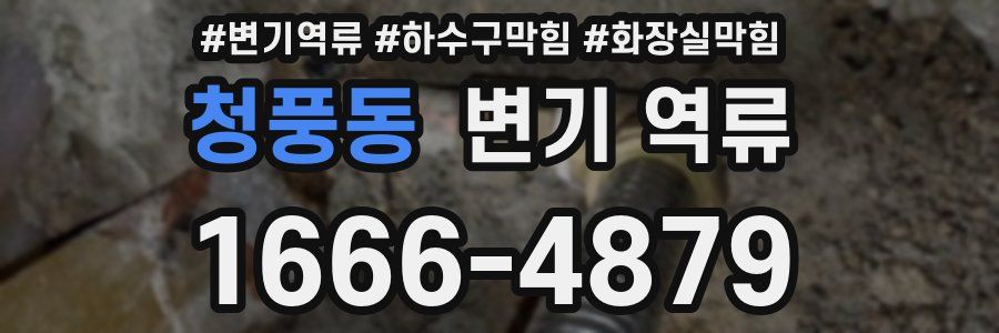 청풍동 변기 역류