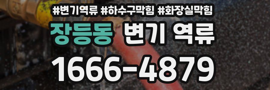 장등동 변기 역류