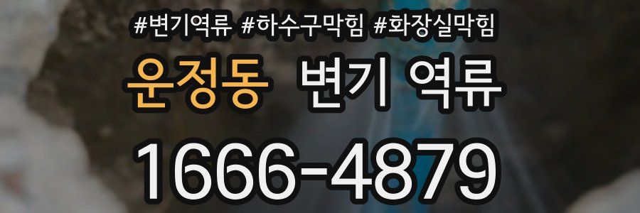 운정동 변기 역류