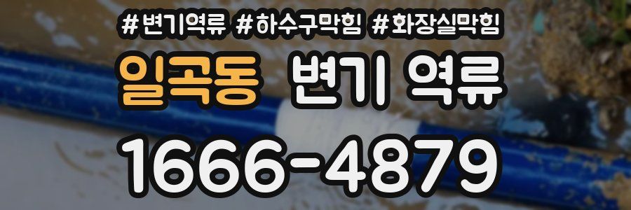 일곡동 변기 역류