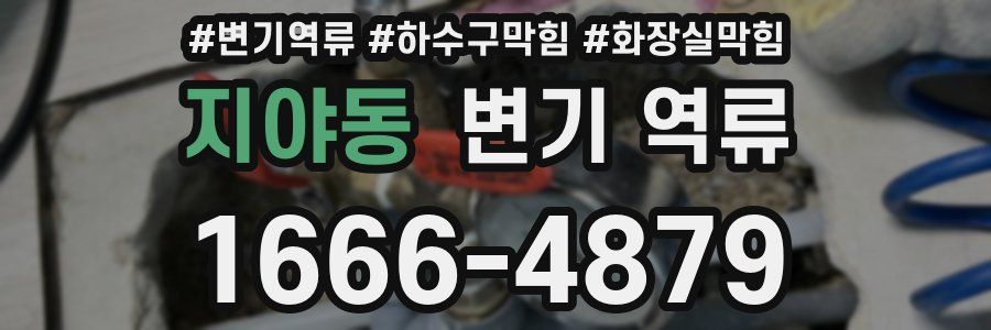 지야동 변기 역류