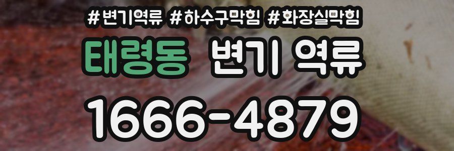 태령동 변기 역류