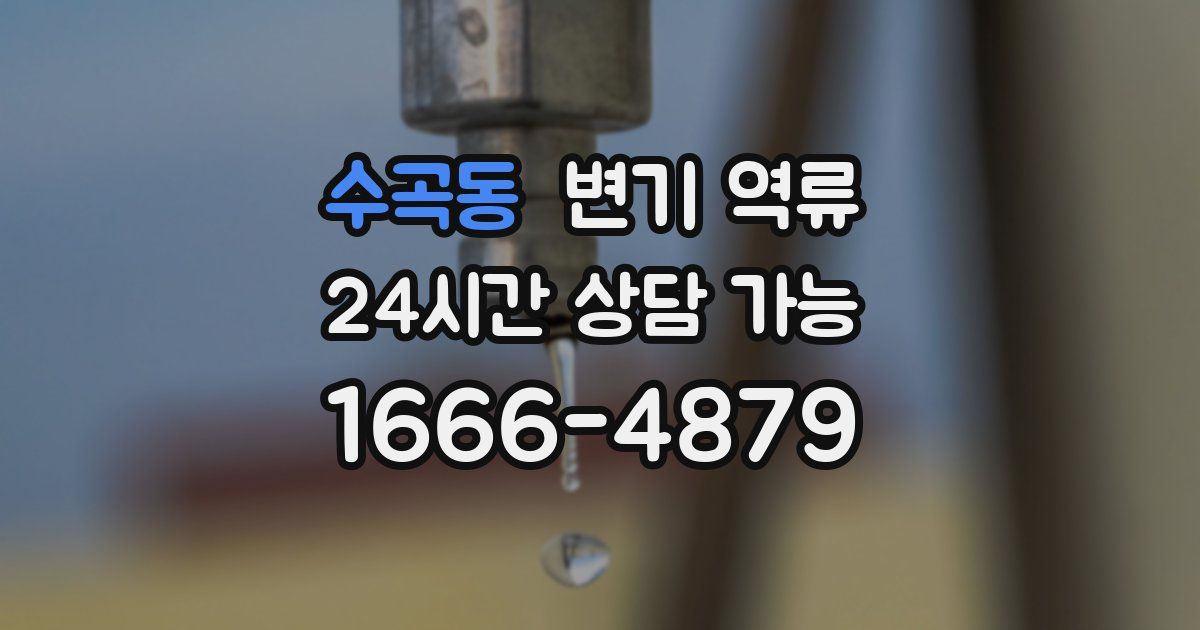 수곡동 변기 역류