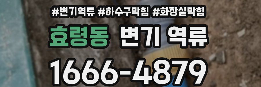 효령동 변기 역류