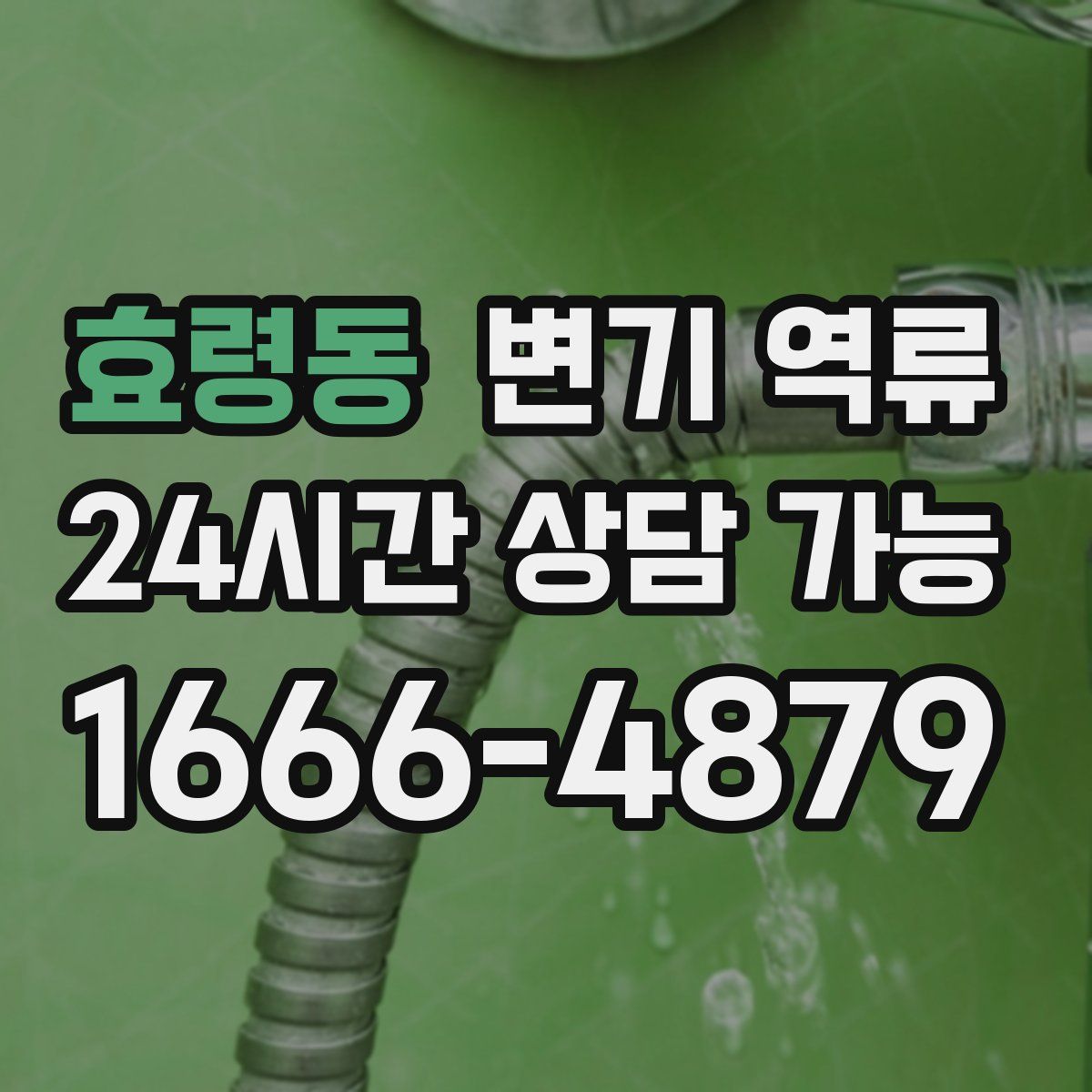 효령동 변기 역류