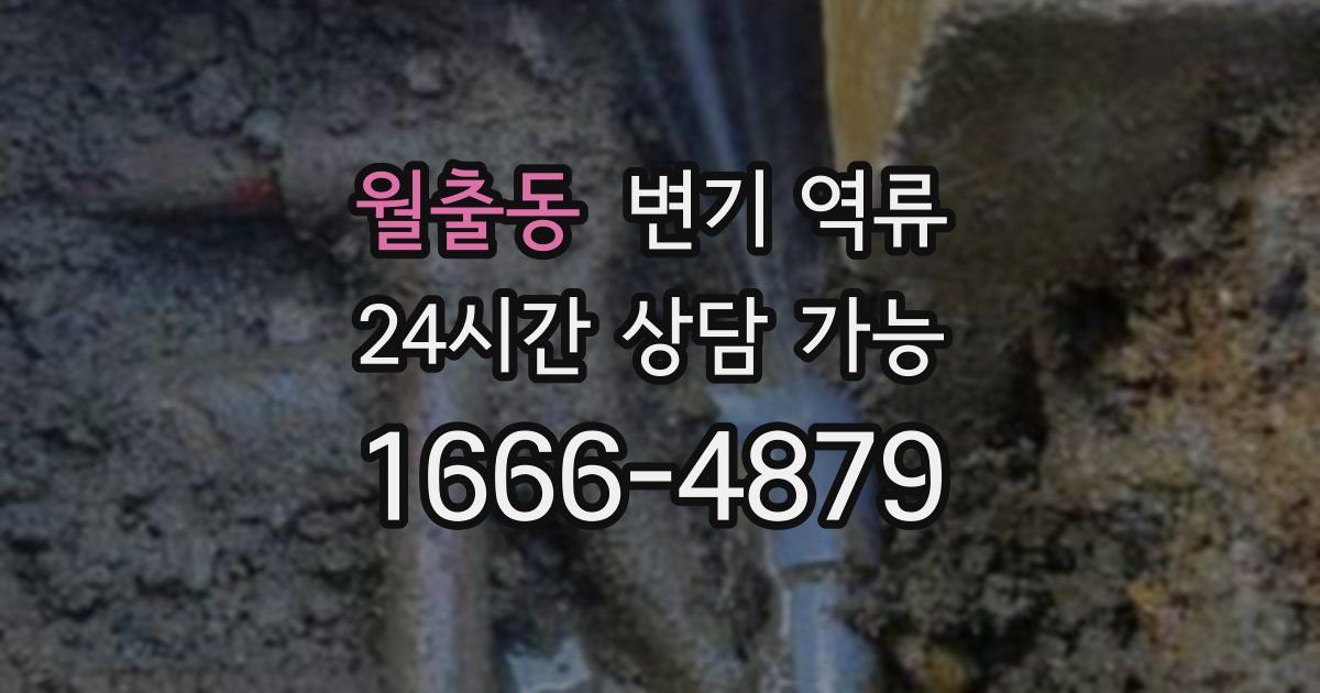 월출동 변기 역류