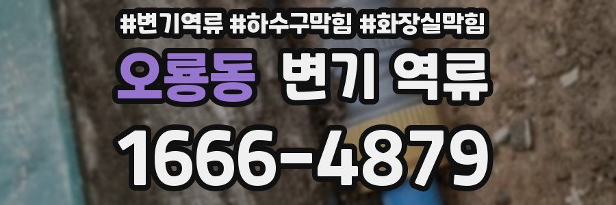 오룡동 변기 역류