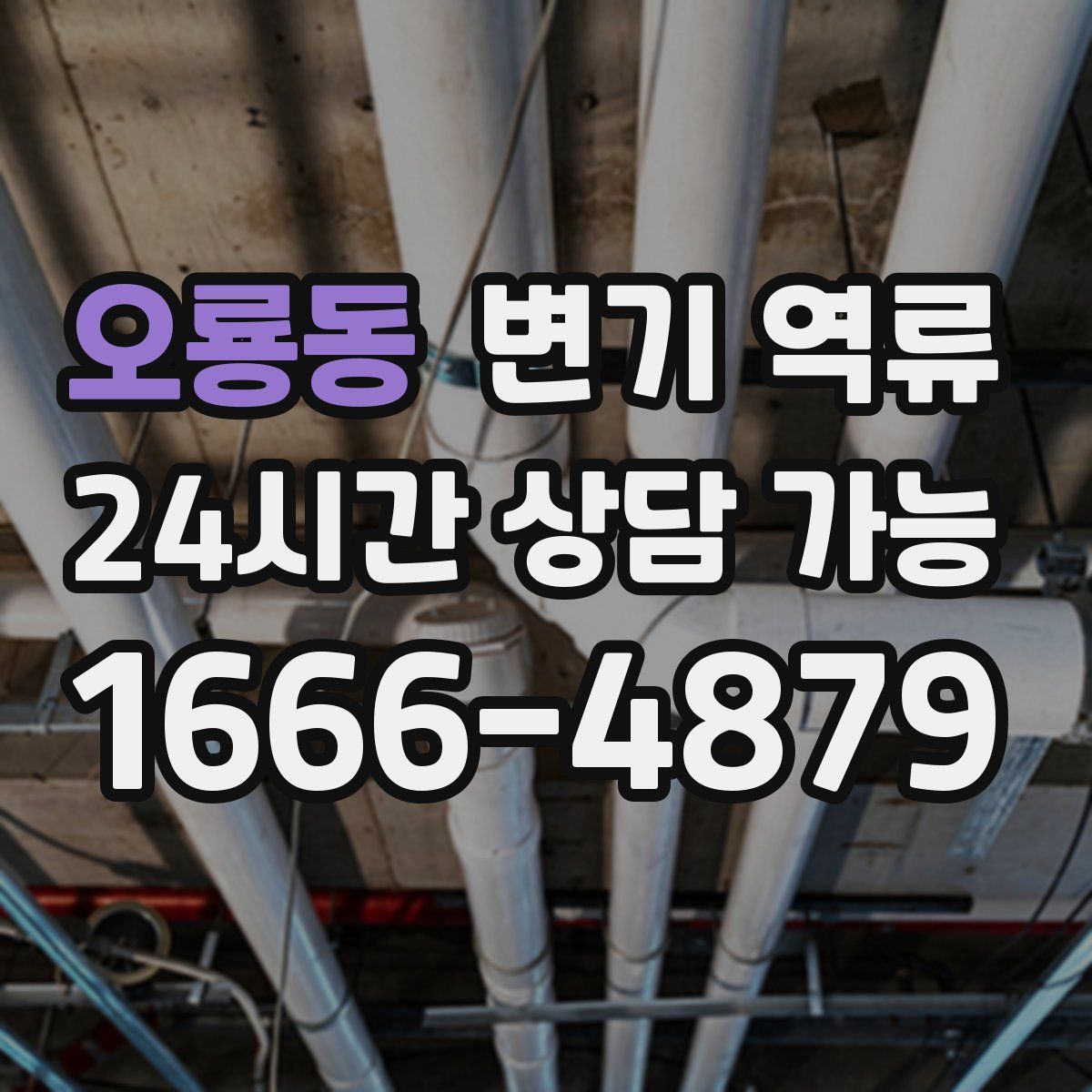 오룡동 변기 역류