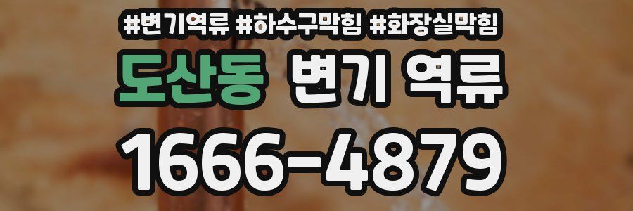 도산동 변기 역류