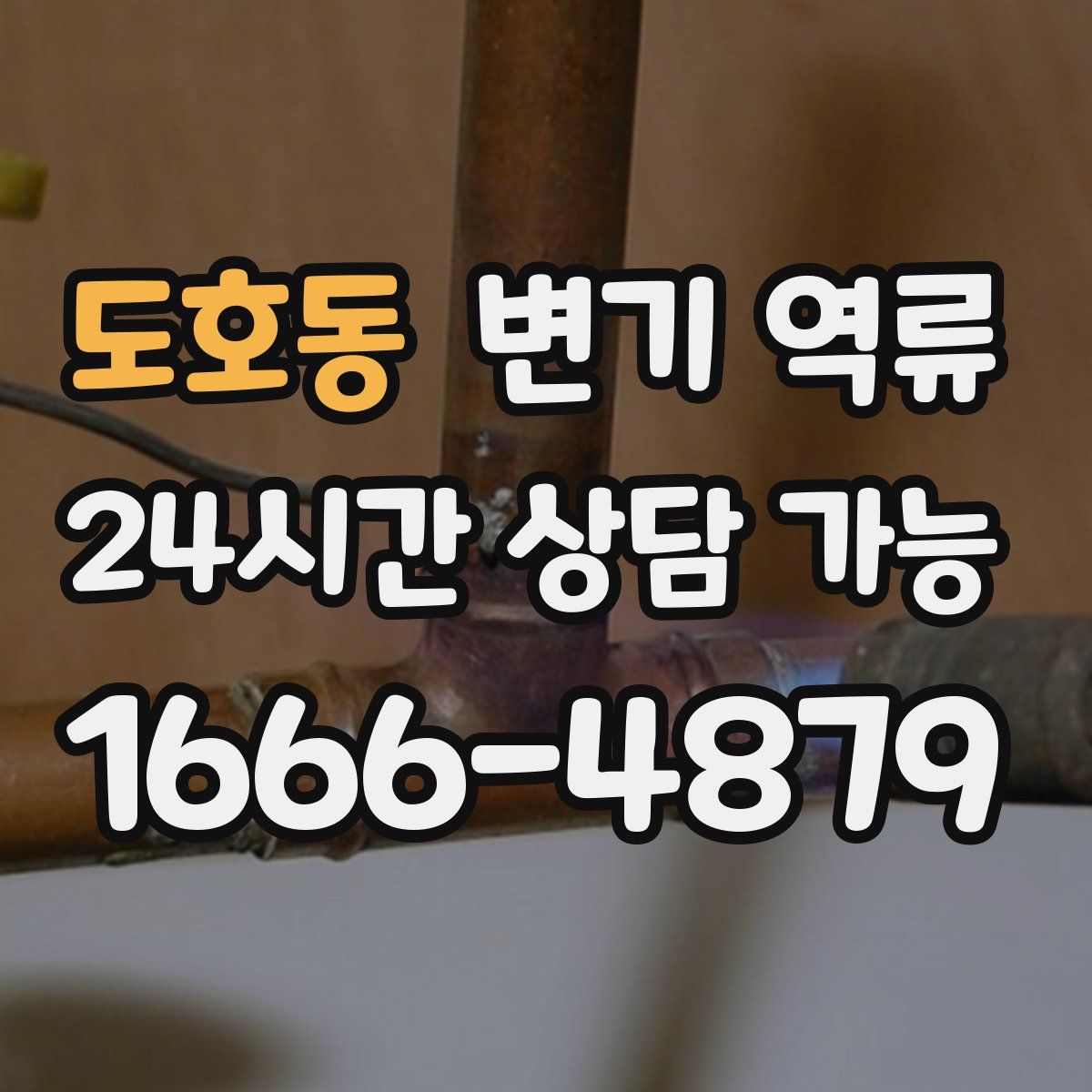 도호동 변기 역류