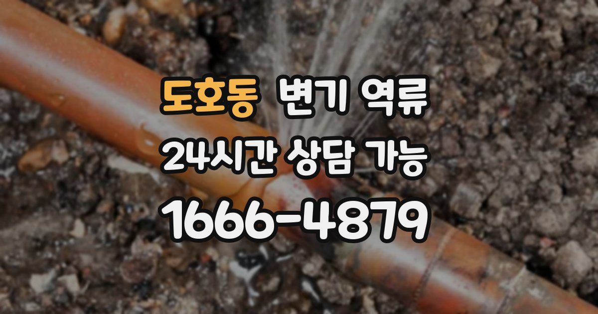 도호동 변기 역류