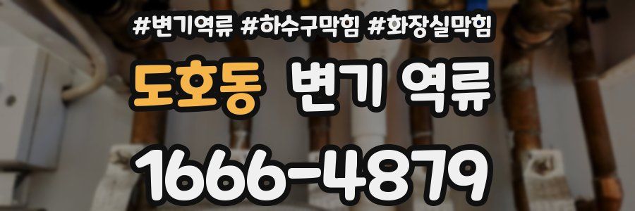 도호동 변기 역류
