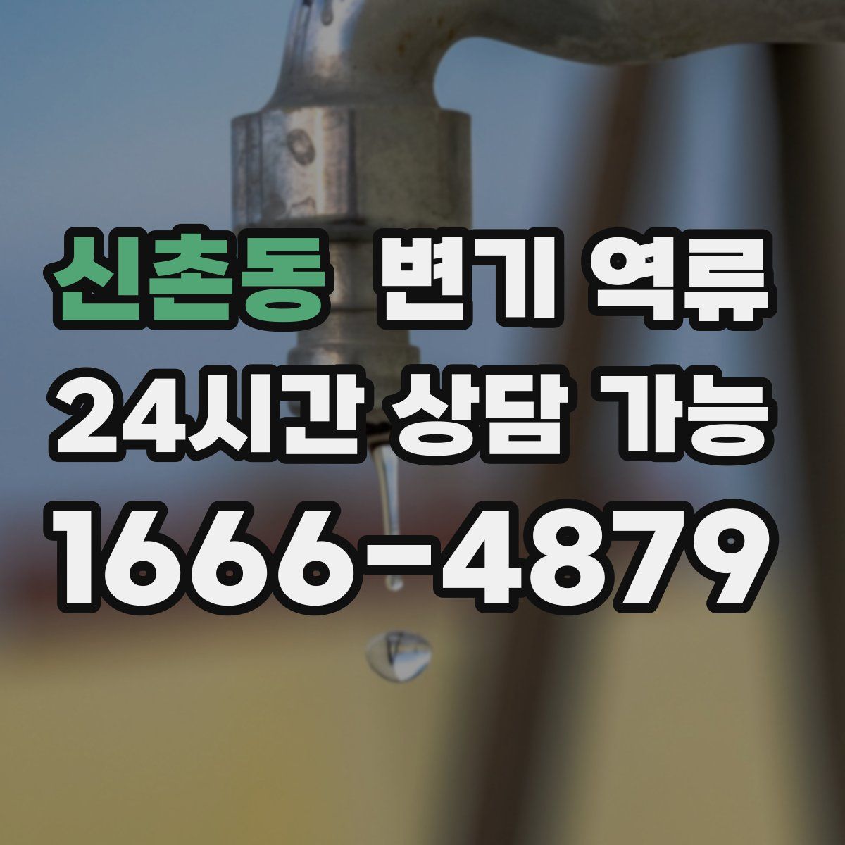 신촌동 변기 역류
