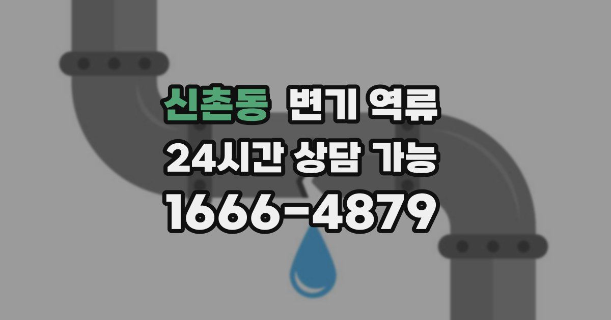 신촌동 변기 역류