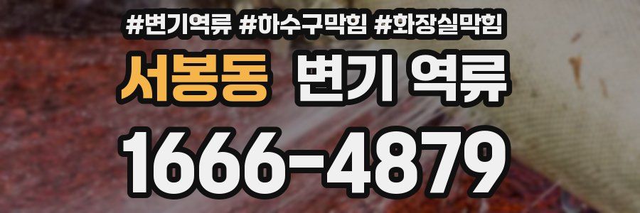 서봉동 변기 역류