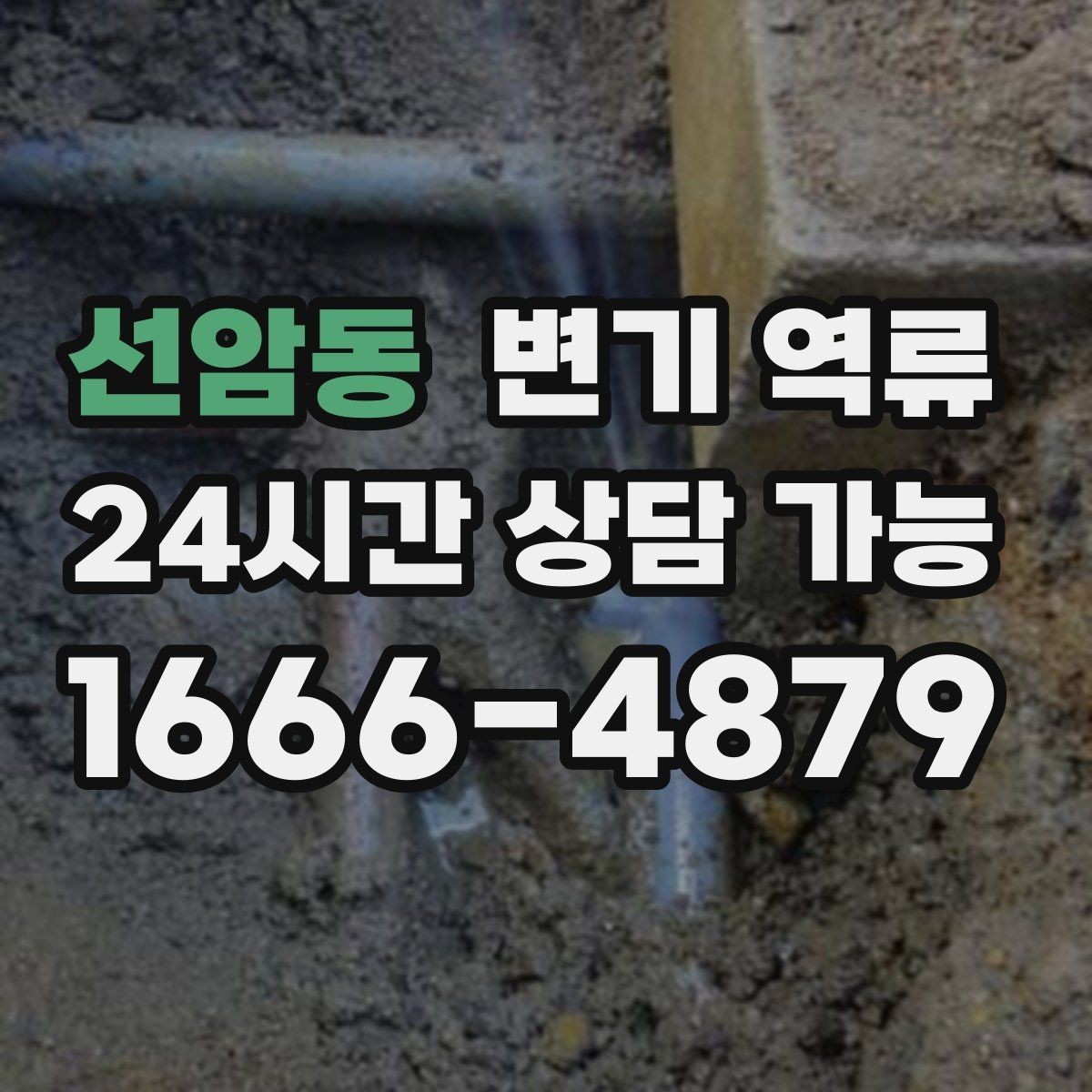 선암동 변기 역류 아파트에서 공용 수직관 문제일 때 신호