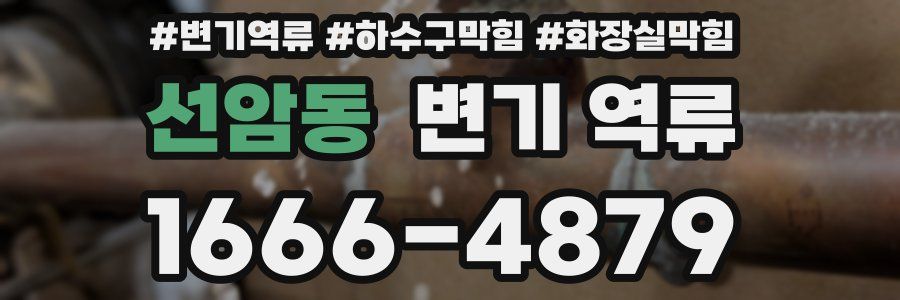 선암동 변기 역류