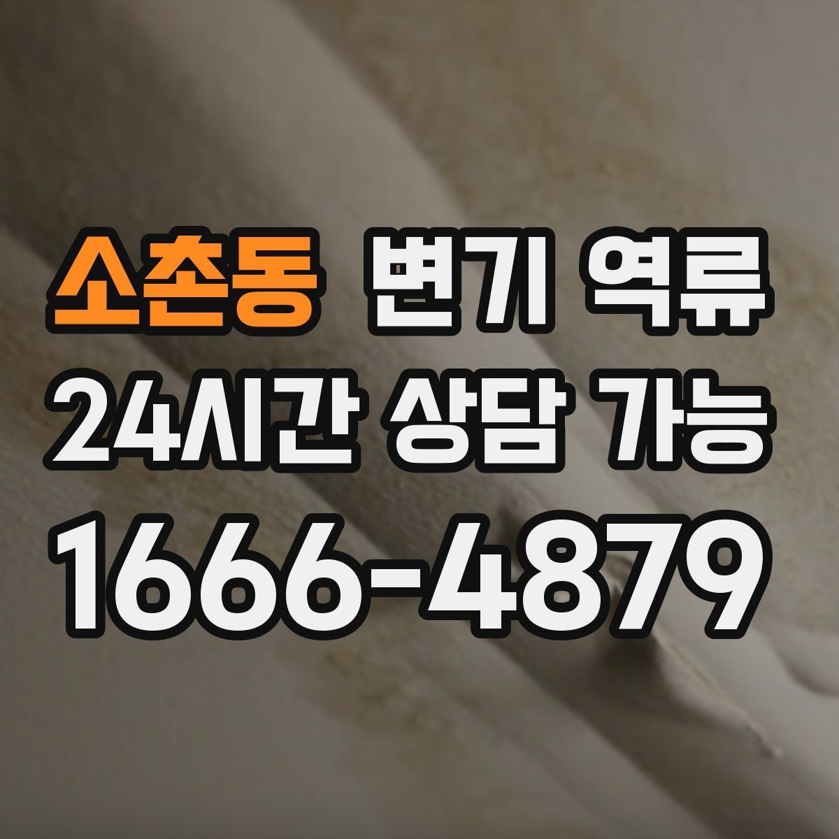 소촌동 변기 역류 물 내림 횟수에 따른 변화로 원인 좁히기