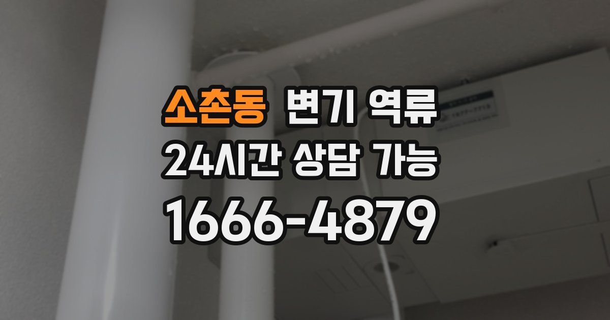 소촌동 변기 역류