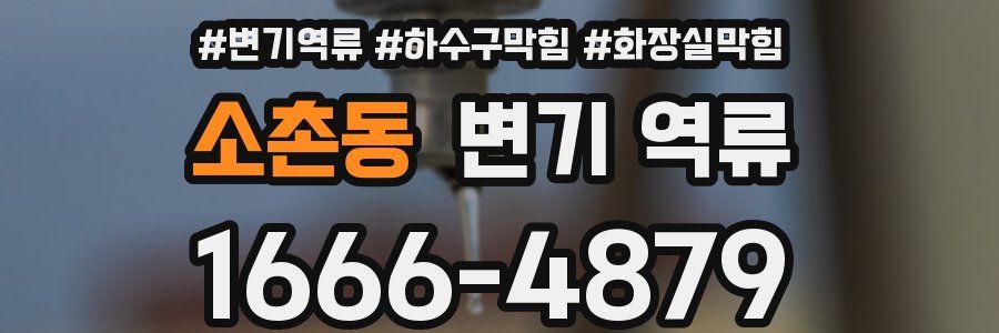 소촌동 변기 역류