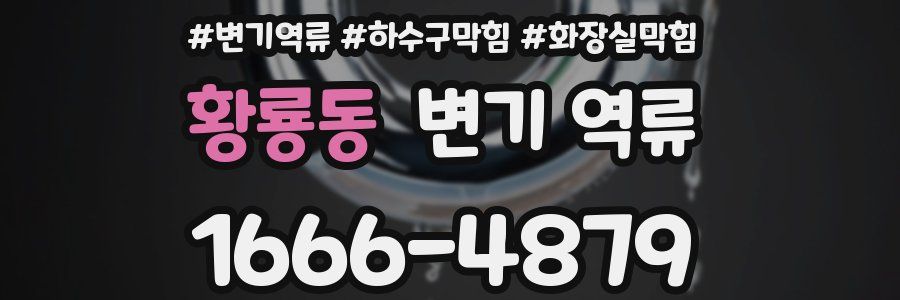 황룡동 변기 역류