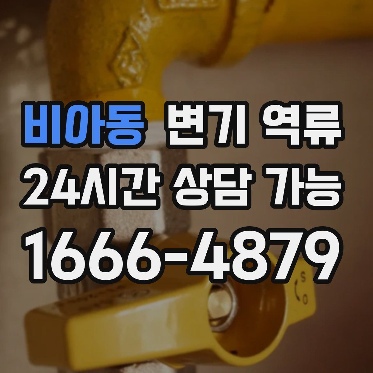 비아동 변기 역류