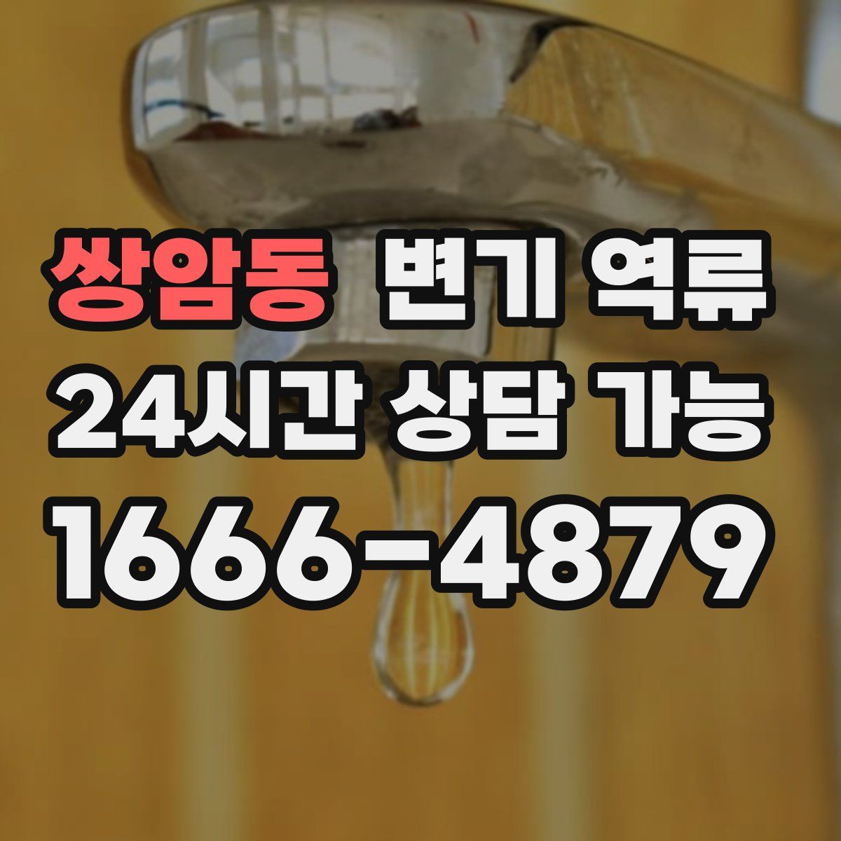 쌍암동 변기 역류