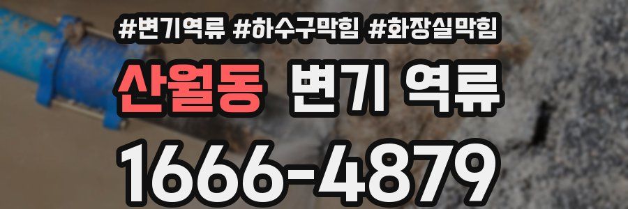 산월동 변기 역류