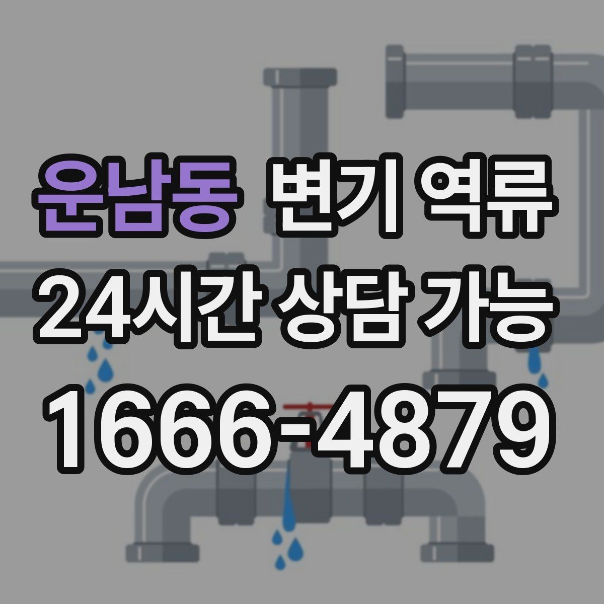 운남동 변기 역류 욕실 문턱을 넘기기 전 해야 하는 임시 조치