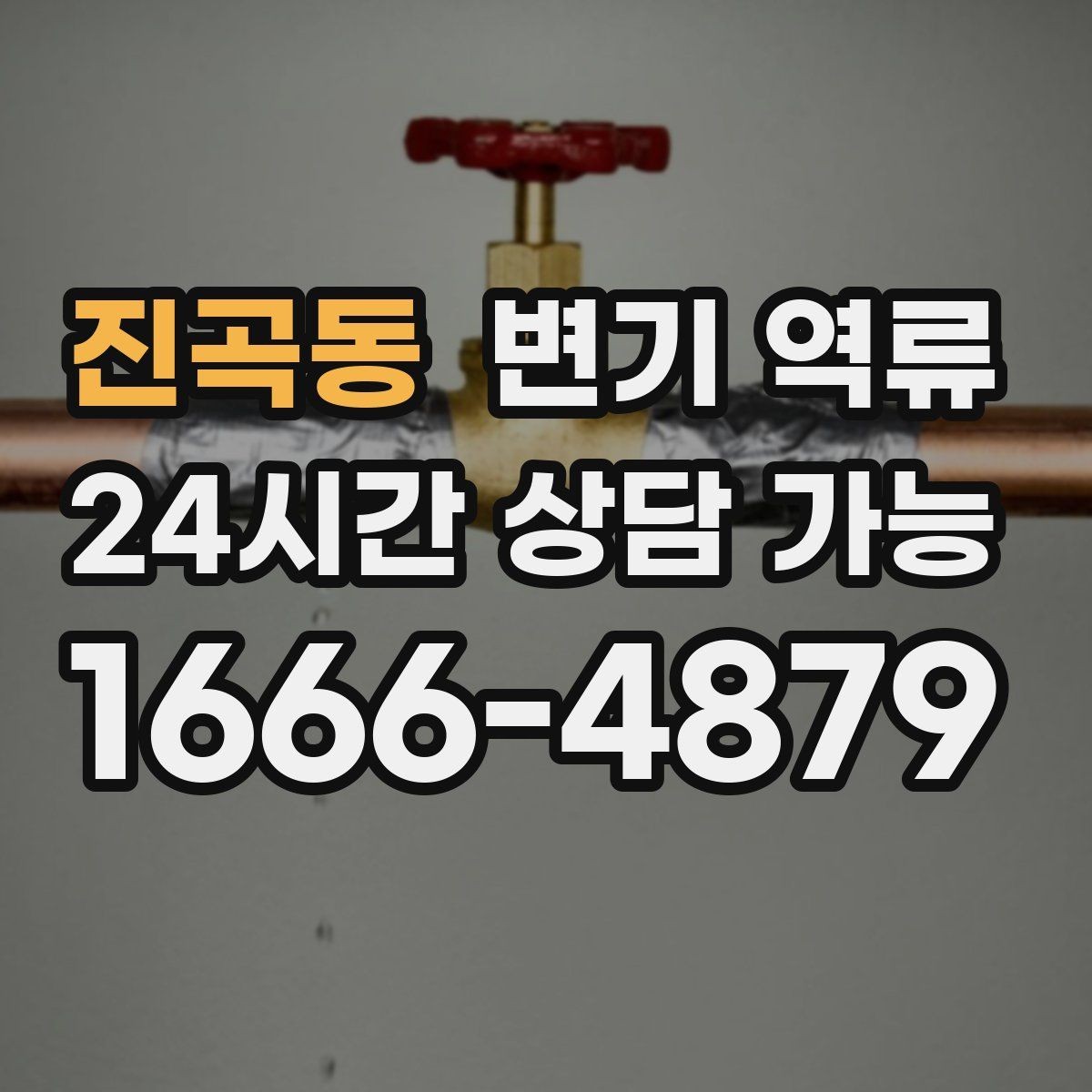 진곡동 변기 역류 리모델링 후 배관 문제로 생길 수 있을까