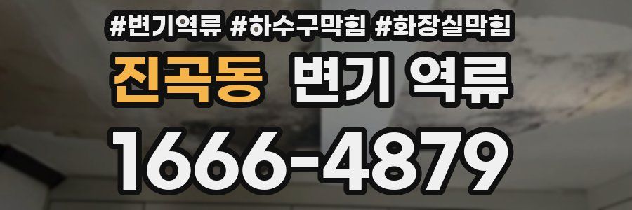 진곡동 변기 역류