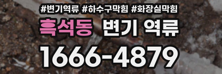 흑석동 변기 역류