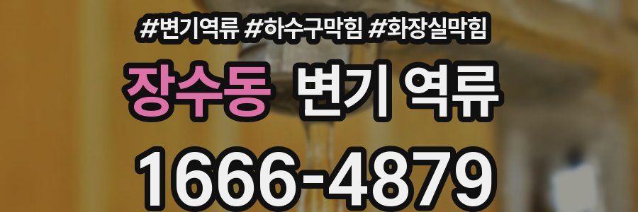 장수동 변기 역류