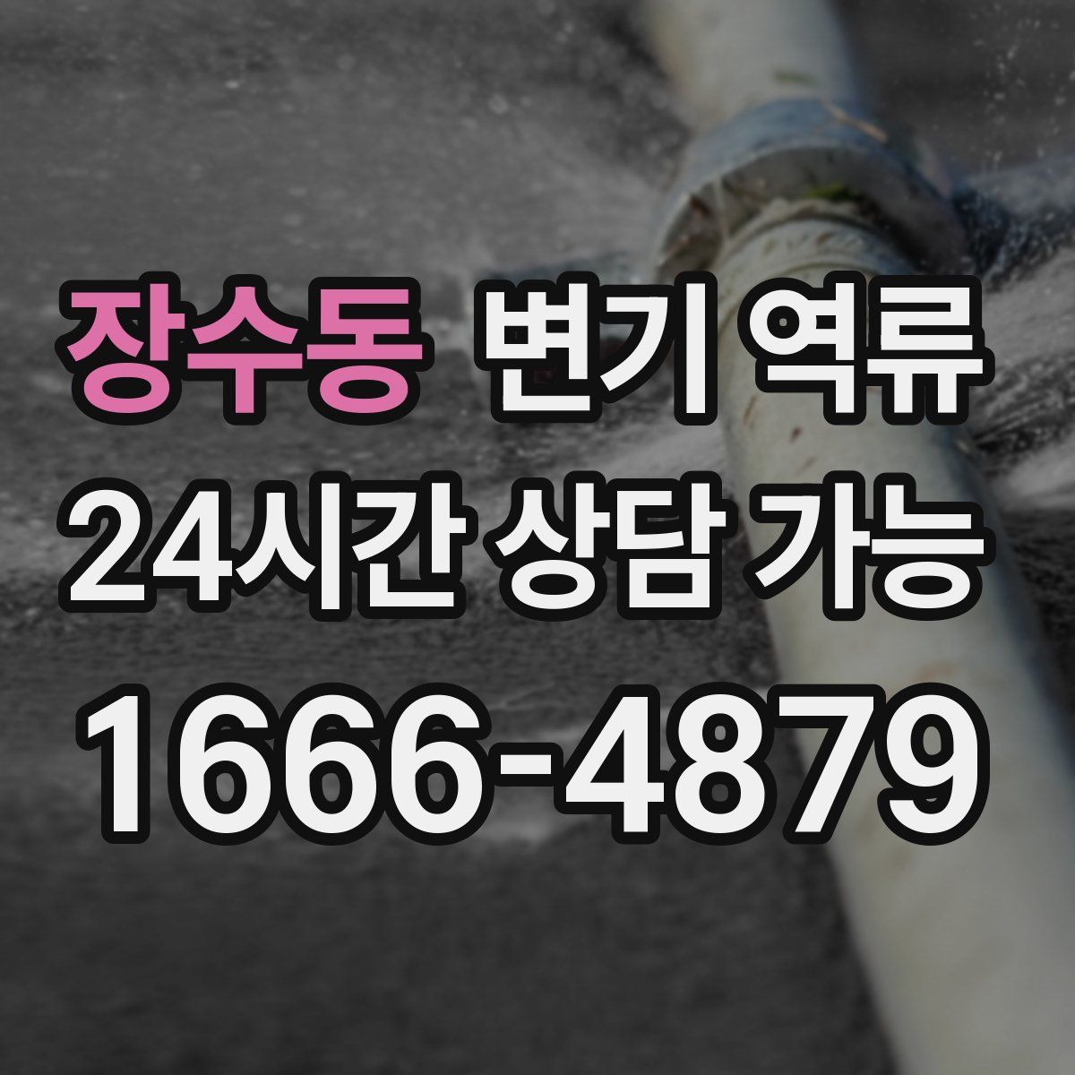 장수동 변기 역류