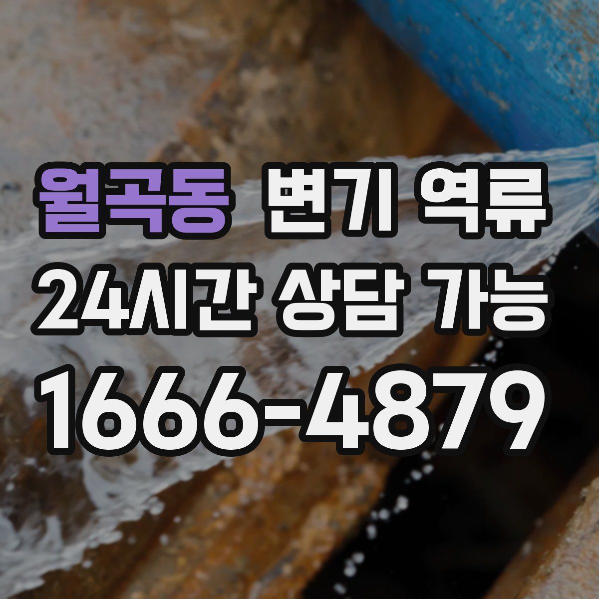 월곡동 변기 역류