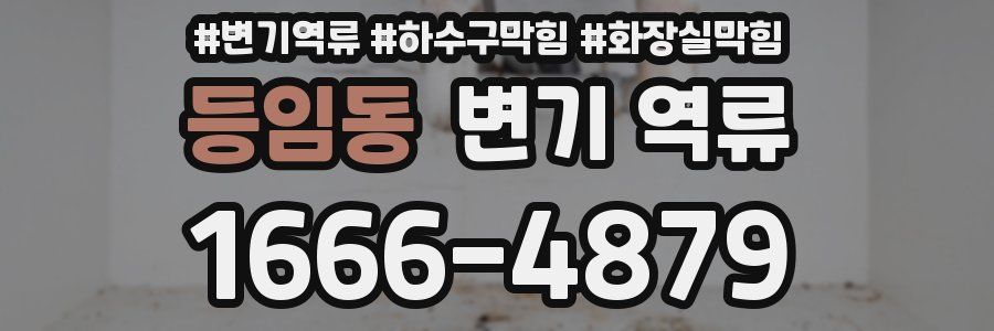 등임동 변기 역류