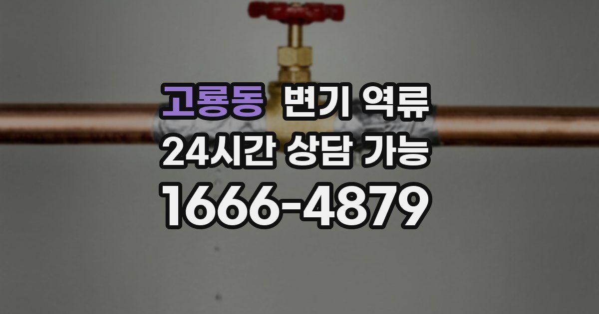 고룡동 변기 역류