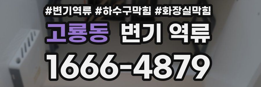 고룡동 변기 역류