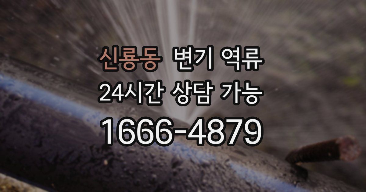 신룡동 변기 역류