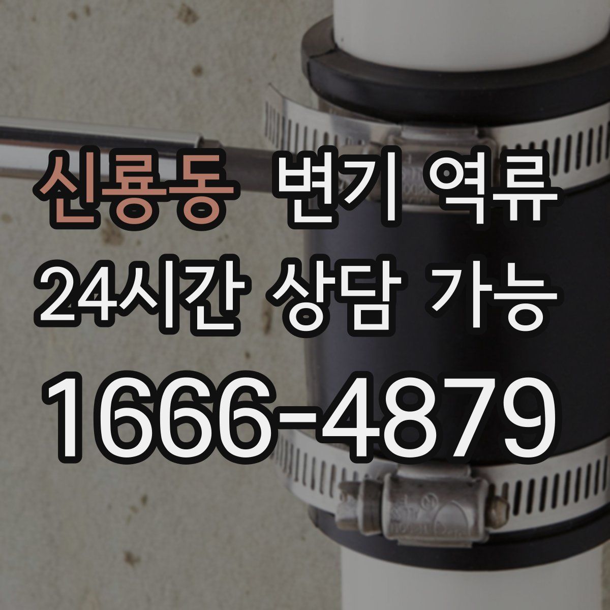 신룡동 변기 역류