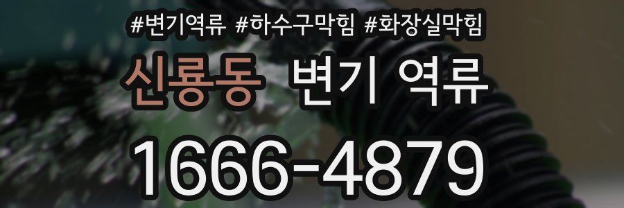 신룡동 변기 역류