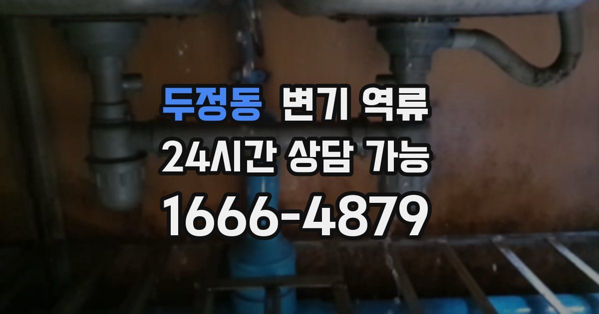 두정동 변기 역류