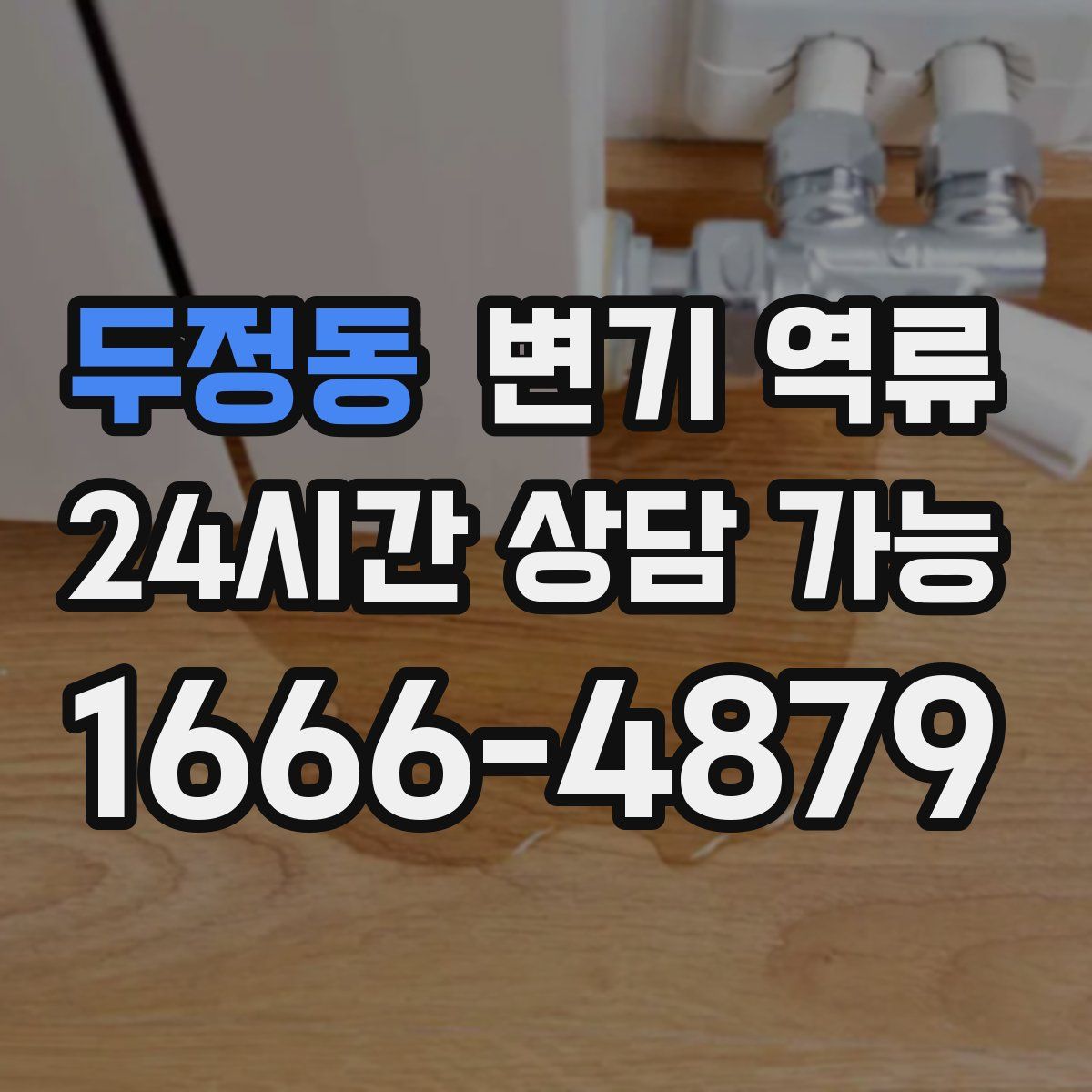 두정동 변기 역류